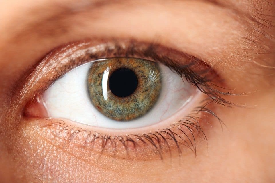 Eye Care